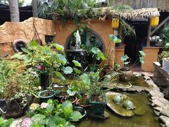 -园林美食城·本土农家菜(杨和镇店)