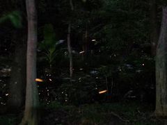 -紫霞湖公园
