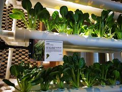 -西安浐灞艾美酒店·汉江餐厅·火锅