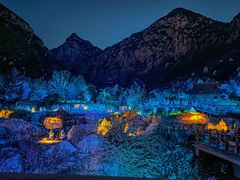 -禅宗少林·音乐大典