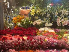 -朝来春花卉市场