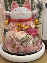 -Dr.林醫生产后修复·超级店(南京江宁同曦店)