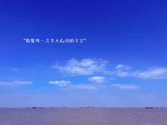 -上海滨江森林公园