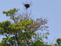 -深圳湾公园(南山区)