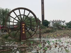 -茯茶镇