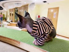 -猫和宫(六道口店)