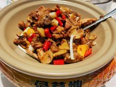 -绿草地·湘菜(芙蓉天街店)