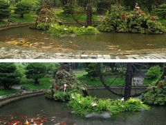 -莫里热带雨林景区