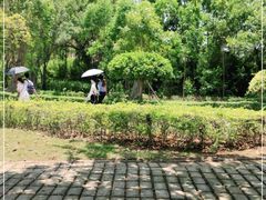 -南沙蒲洲花园