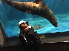 -成都浩海立方海洋公园