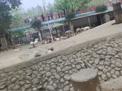 -郑州市动物园