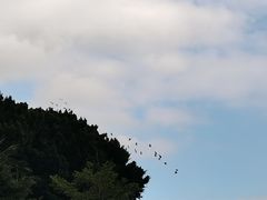 -深圳湾公园(南山区)