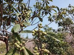 -中国移动南方基地