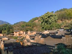 -杨家堂村