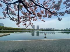 -尚贤河湿地