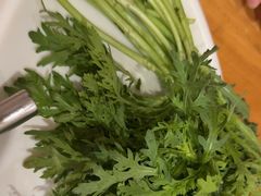 -蜀库菌汤火锅(望都店)