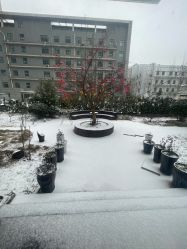 -雪绒花月子会所(祥盛店)