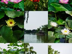 -陶然亭公园