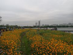 -海珠湖公园