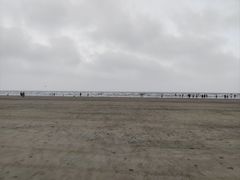 -大鹿岛