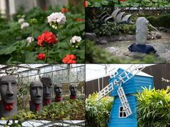 -南宫五洲植物乐园