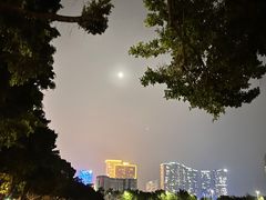 -亚利咖喱屋