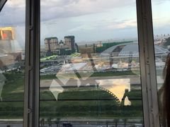 -影汇之星8字形摩天轮