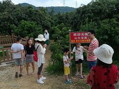-从化深英荔枝黄皮龙眼采摘园