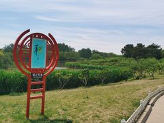 -塘沽森林公园