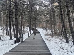 -帽儿山国家森林公园