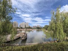 -青藏高原野生动物园