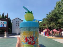 -青岛方特梦幻王国