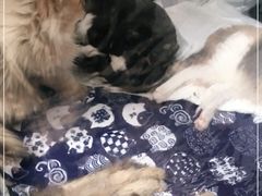 -光启城时尚购物中心