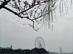 -无锡蠡湖国家湿地公园-蠡园