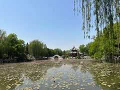 -莲池书院博物馆