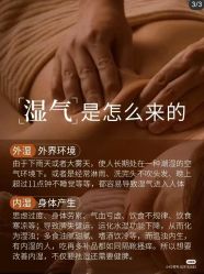 点击看大图 -玛莲朵·海菲秀冰珀科