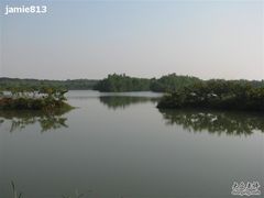 -大湾区中央湿地公园