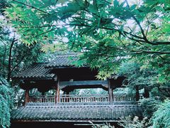 -中国茶叶博物馆(双峰馆区)