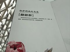 -曹州牡丹园