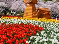 -苏州上方山国家森林公园