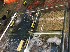 -明记海鲜大排档(巽寮湾店)