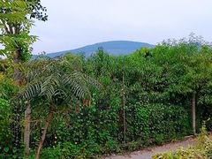 -锦屏山旅游度假区