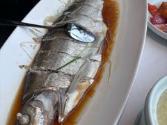-翡翠江南(国贸商城店)