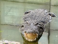 -石家庄市动物园