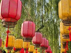 游乐设施-百花洲