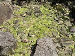 -北仑森林植物园