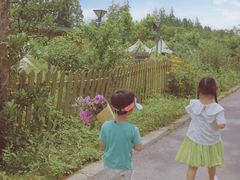 -前小桔亲子创意农场·草莓采摘·露营烧烤