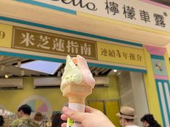 -柠檬车露(卖草地店)