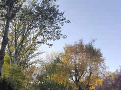 -西安市长乐公园