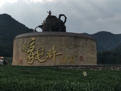 -龙坞茶村